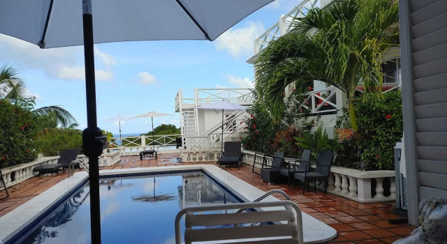 Люкс Executive Chez Mango Villas
