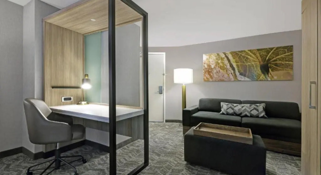 Одноместный люкс SpringHill Suites by Marriott Palm Desert