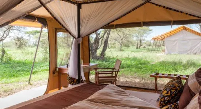 Habitación Estándar Gnu Ndutu Camp