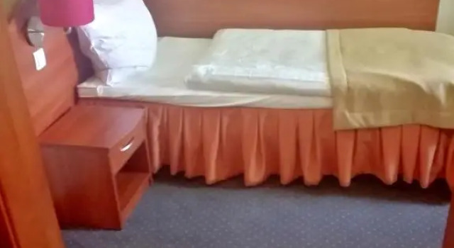 Номер Deluxe Hotel i Restauracja Borowianka