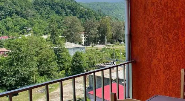 Двухместный номер Standard с видом на горы Hotel Georgia