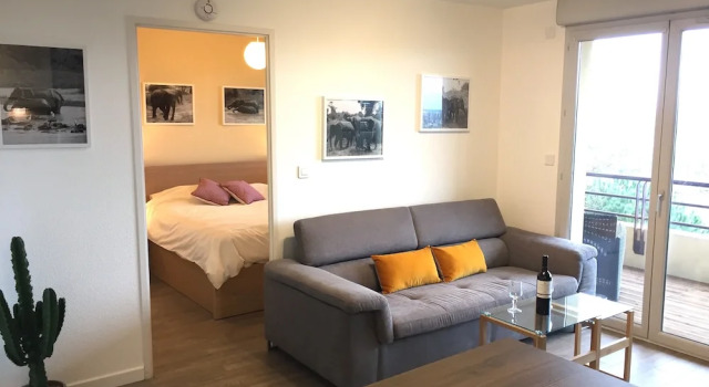 Cosy Castres, Book Hotel Hotels in Haute-Garonne with a Pool, Swimming Pool