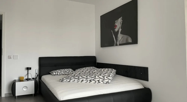 Beautiful Penthouse Lakeview W18, Rezerwuj Apartament Hotele w Ilfov z parkingiem, Parking