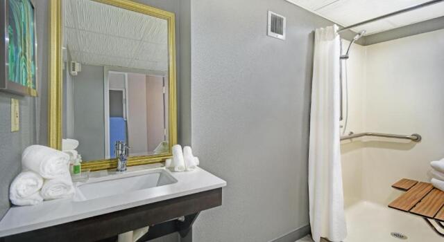 Номер Standard Holiday Inn - Memphis Downtown - Beale St. by IHG