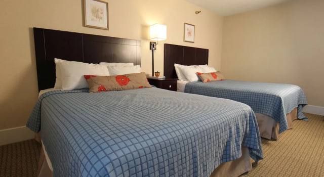 Четырёхместный номер Standard Harrison Hall Hotel