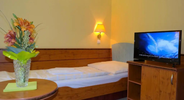 Номер Standard Horský hotel Montana
