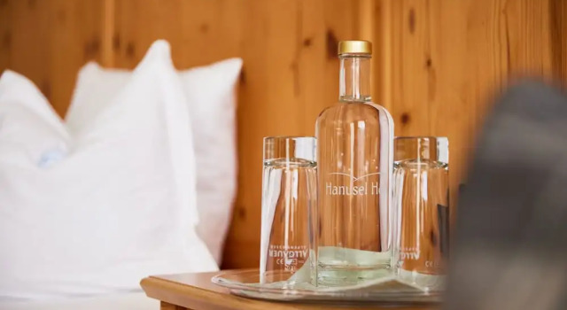 Номер Economy Hanusel Hof Wellness & Genuss in Panoramalage