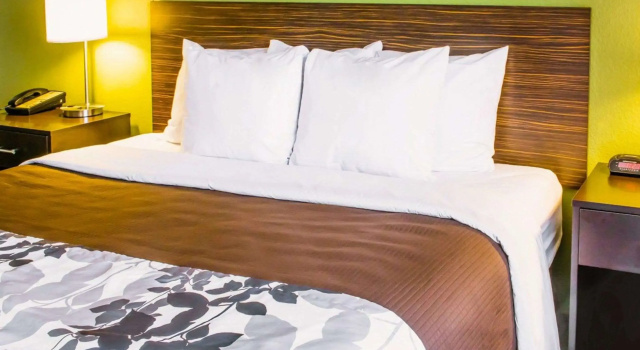 Двухместный люкс Sleep Inn & Suites Virginia Horse Center