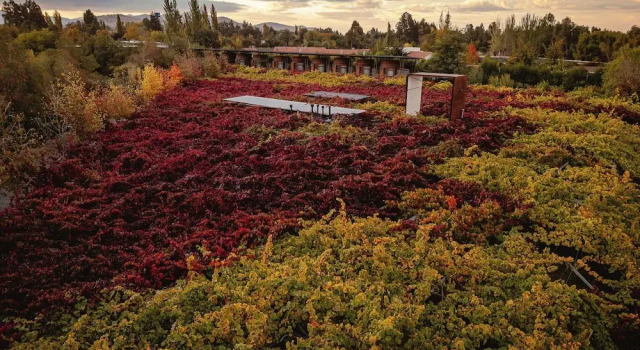 Номер Standard Cava Colchagua Hotel Boutique