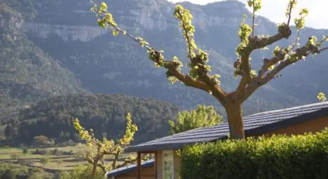 Montsant Park Camping & Bungalow, Buchen Sie Campingplatz Hotels in Ulldemolins mit Pool, Schwimmbad