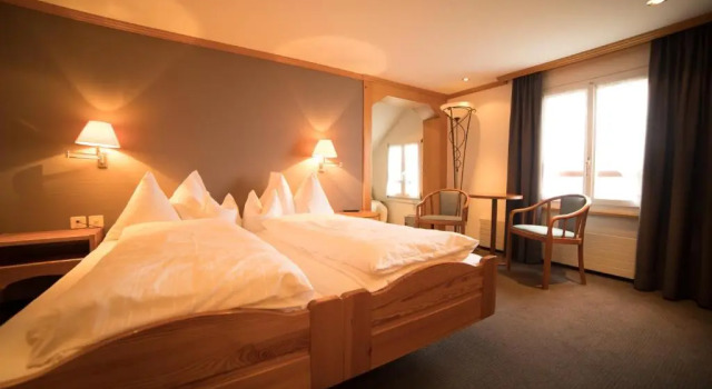 Номер Standard Hotel Friedheim Weggis