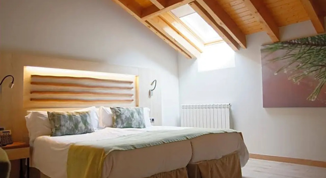 Двухместный номер Standard Hotel Rural Las Montañas de Pumar