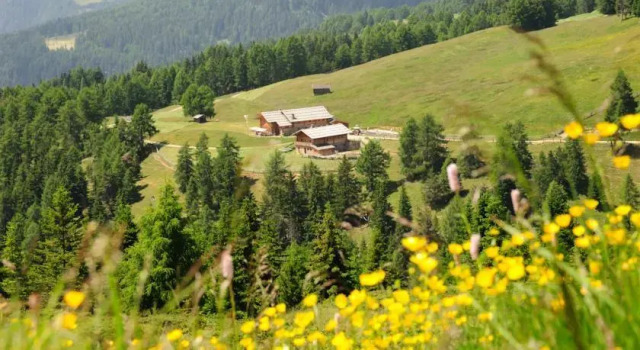 Schutzhütte Kreuzwiese, Забронировать Отель Лузон Valle Isarco