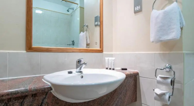 Одноместный номер Standard Tullamore Court Hotel