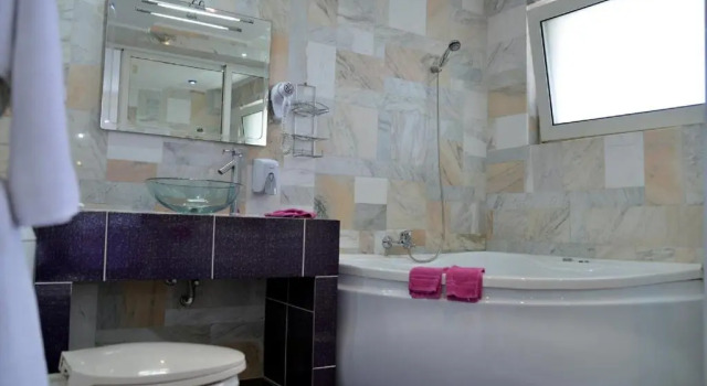 Номер Deluxe Amethyst House Therme & Bucharest Otopeni Airport
