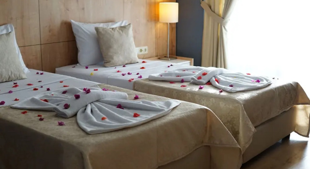 Номер Standard Botanik Felizya Hotel