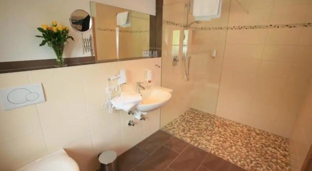 Standart çift kişilik oda Pension Schweizerhaus Garni