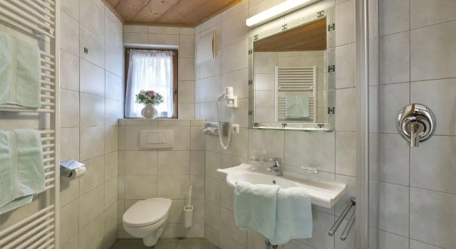 Двухместный номер Standard Hotel Ehrenreich
