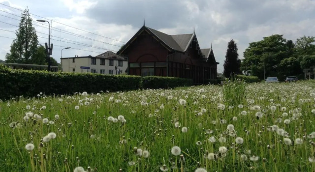 Коттедж Halte Sint-Gerlach Holiday Home