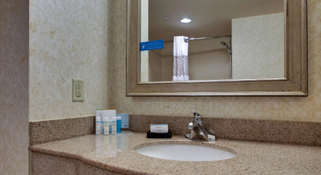 Двухместная студия Hampton Inn & Suites Spartanburg-I-26-Westgate Mall
