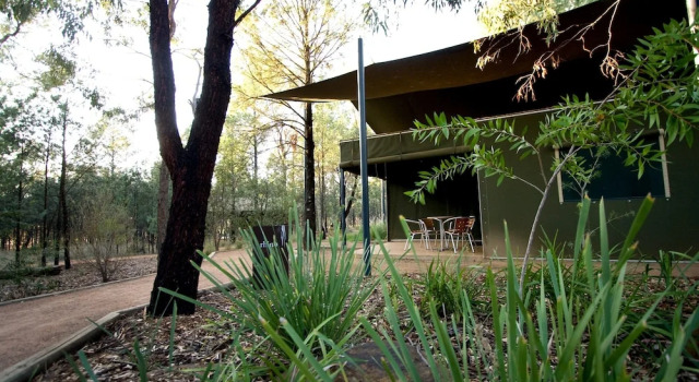 Номер Standard с видом на окрестности Zoofari Lodge at Taronga Western Plains