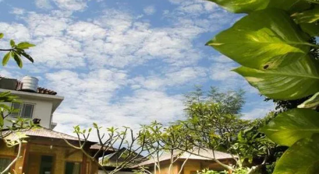 Timbis Homestay Bali