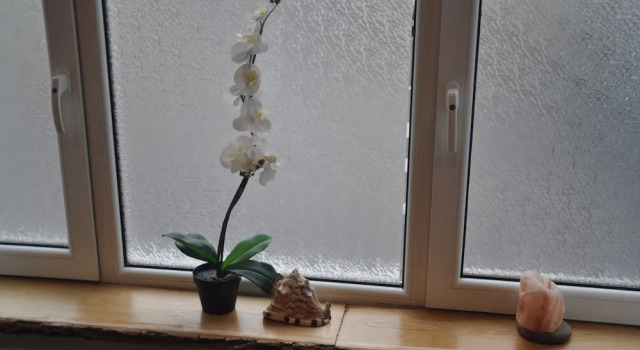 Номер Deluxe XuBa ApartmentRooms Messe Wien Prater