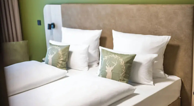 Номер Standard Platzhirsch Living