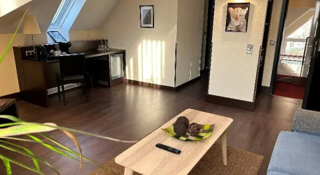 Семейный номер Comfort Villa Hotel Frankfurt by MZ HotelCollection