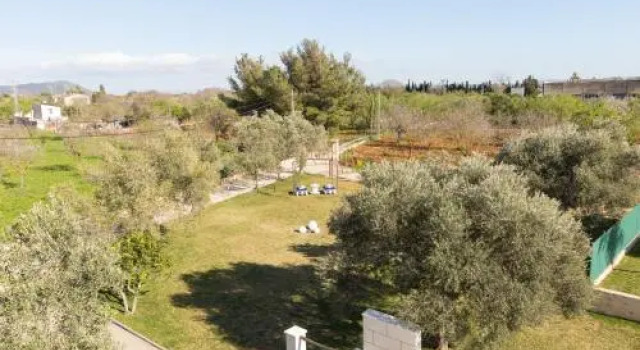 Finca den Joan
