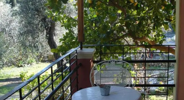 Студия Bozikis Apartments & Studios