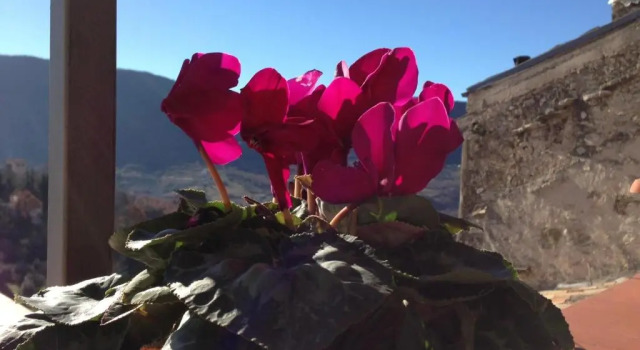 Apartment Il Borgo 30