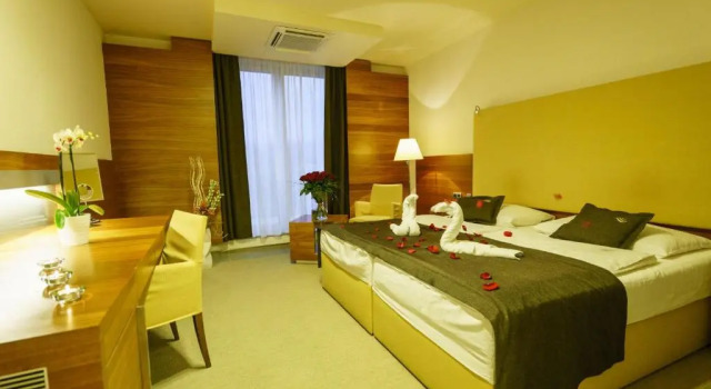 Номер Standard Hotel AquaCity Mountain View