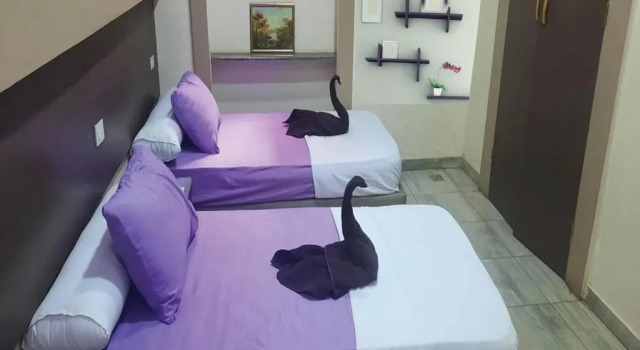 Номер Standard the Hotel Emerald