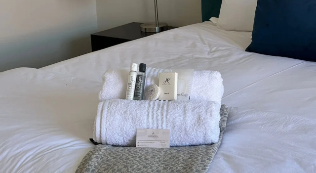 Номер Comfort Magnolia Hotel