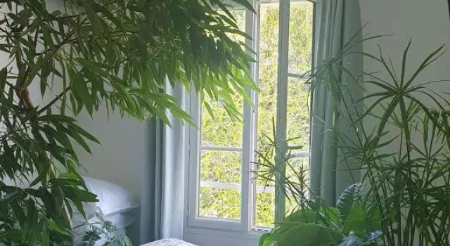 Номер Standard La petite maison du jardin d'Apollon
