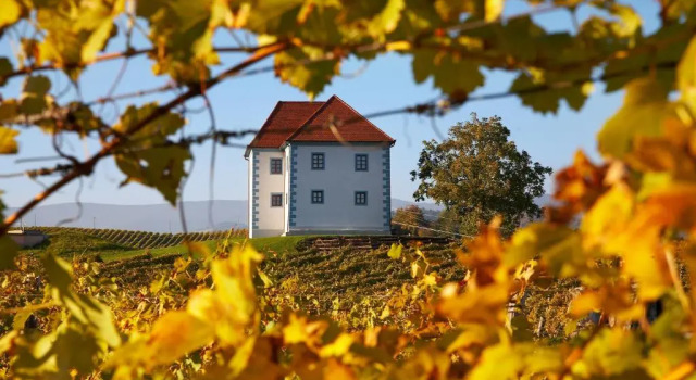 Wine Growers Mansion Zlati Gric, Buchen Sie Hotel Slovenske Konjice Rogla