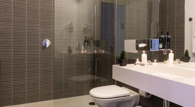 Двухместный номер Standard Hôtel de la Source Yverdon-les-Bains