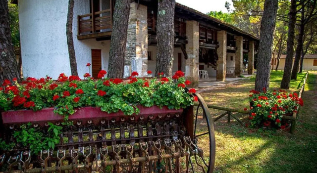 Апартаменты Belvedere Pineta Camping Village Grado