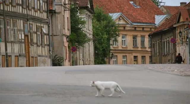 Vintage Anna Apartment, Забронировать Апартаменты/квартира Кулдига Kuldiga Municipality, рядом с Castle guard’s house