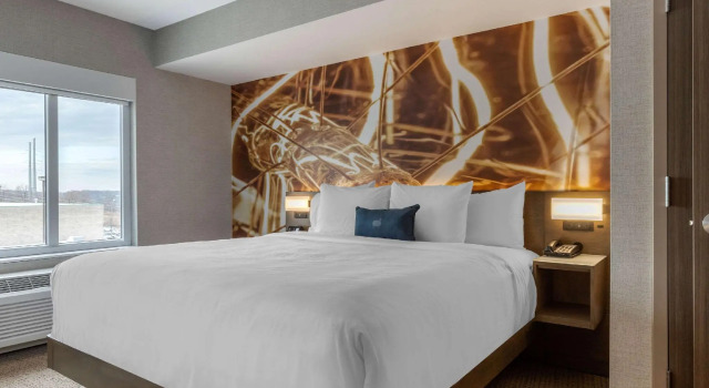 Двухместный люкс Cambria Hotel West Orange