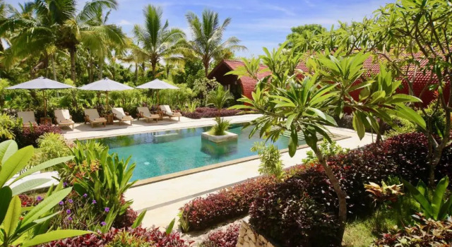 Jungle Paradise