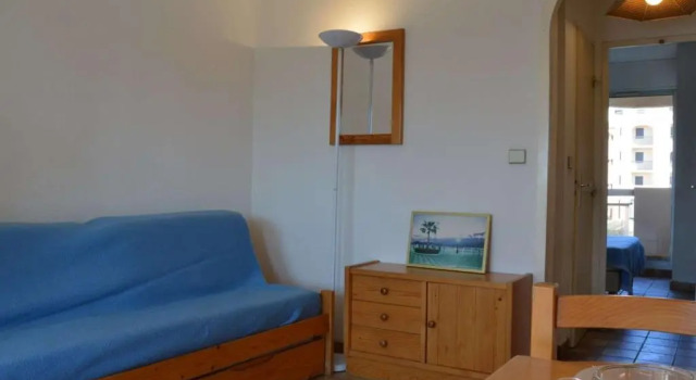 Appartement Saint-Cyprien, 2 pièces, 4 personnes - FR-1-225D-34