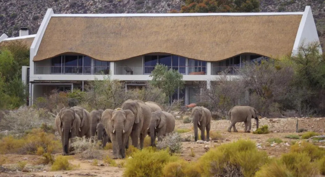 Семейный номер Standard Sanbona Wildlife Reserve