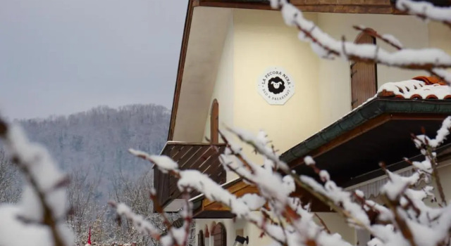 Bed & Breakfast La Pecora Nera