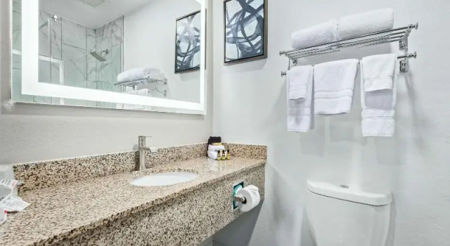 Четырёхместный номер Standard Fountain Park Hotel BW Signature Collection