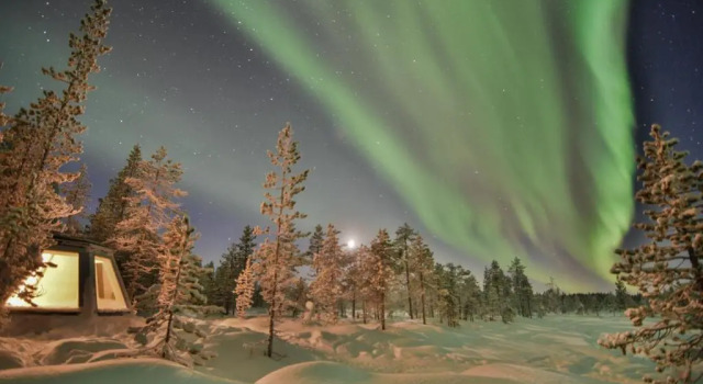 Двухместный номер Standard Pinetree Lodge