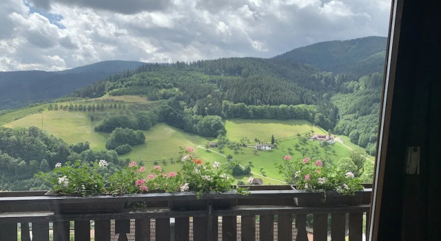 Одноместный номер Standard с балконом Hotel Schauinsland