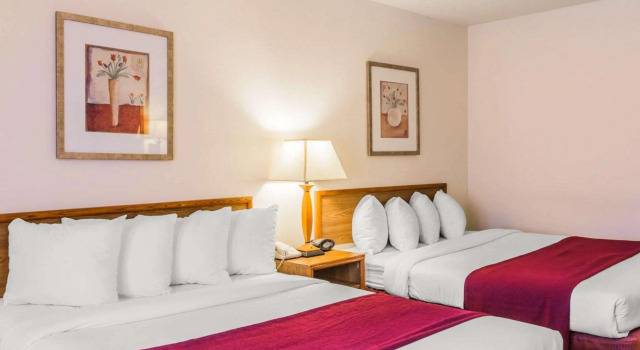 Четырёхместный номер Standard Quality Inn & Suites Golden - Denver West