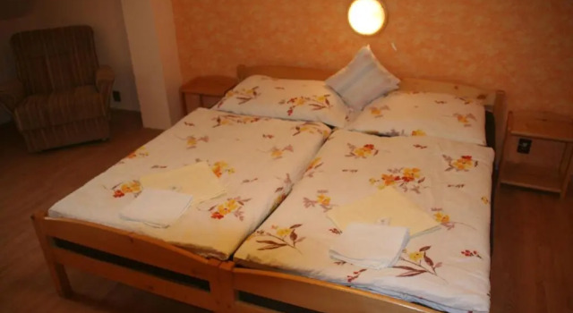 Двухместный номер Standard Chebsky dvur - Egerlander Hof